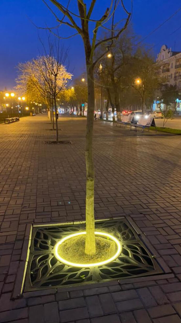 Приствольная решетка для дерева ZKING CRUST 1.2х1.2м Черная в Кызыле фото